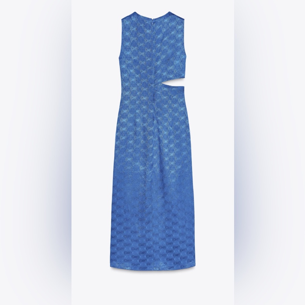 Zara Midi Dress - Picture 5 of 6